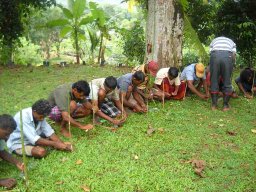 Bud Grafter Training Programme